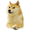 Chó :cho: :cho:
